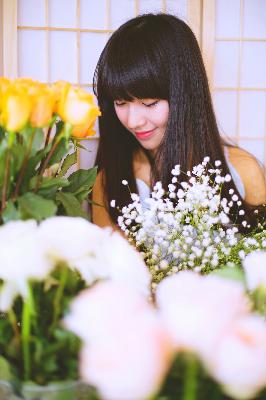 成全在线观看免费观看全集