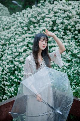 办公室3在线观看免费版电视剧大全